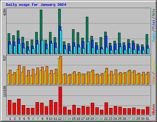 Daily usage for January 2024