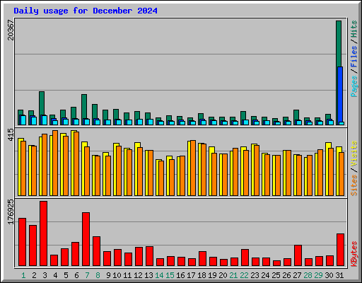 Daily usage for December 2024