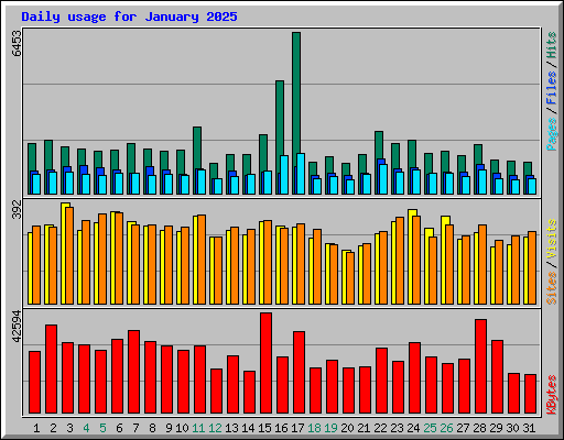 Daily usage for January 2025