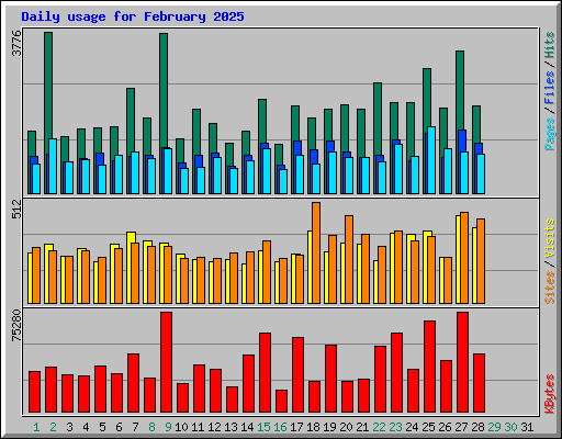 Daily usage for February 2025
