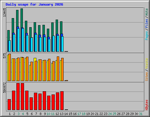 Daily usage for January 2026