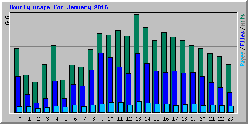 Hourly usage for January 2016