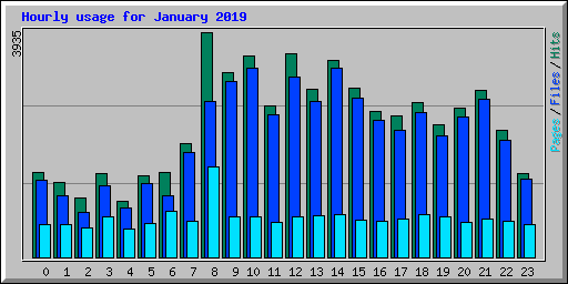 Hourly usage for January 2019