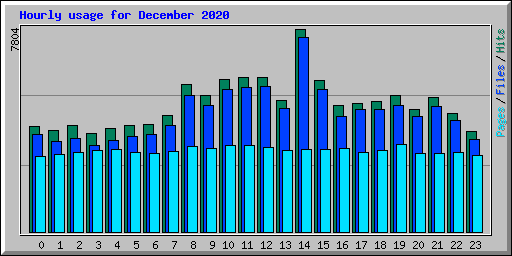Hourly usage for December 2020