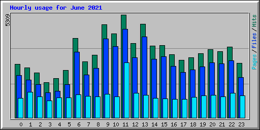 Hourly usage for June 2021
