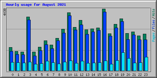 Hourly usage for August 2021