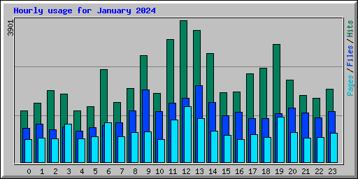 Hourly usage for January 2024