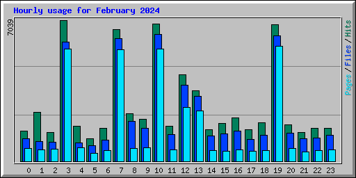Hourly usage for February 2024