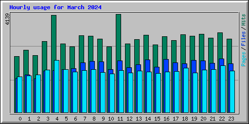Hourly usage for March 2024