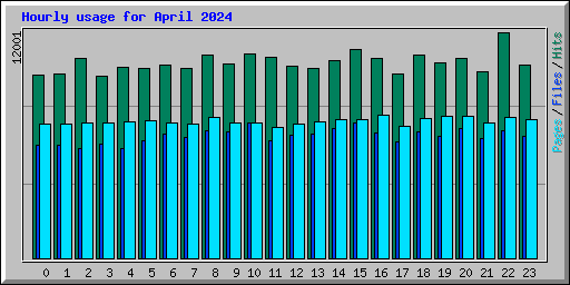 Hourly usage for April 2024