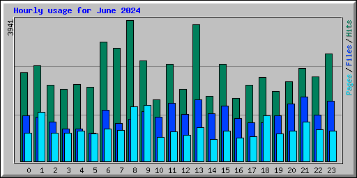 Hourly usage for June 2024