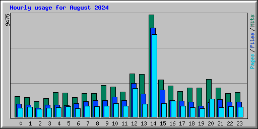 Hourly usage for August 2024