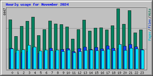 Hourly usage for November 2024