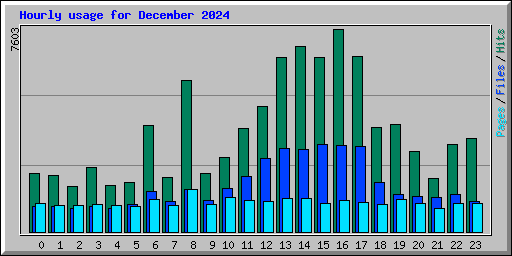 Hourly usage for December 2024