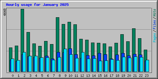 Hourly usage for January 2025