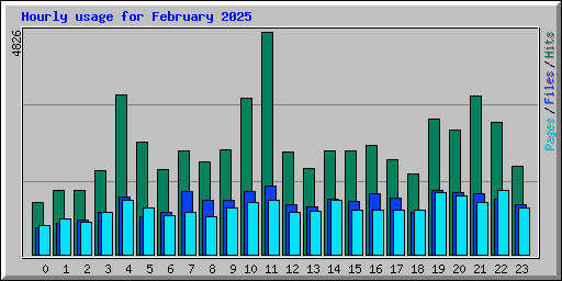 Hourly usage for February 2025