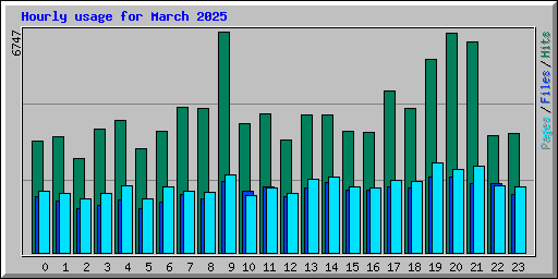 Hourly usage for March 2025