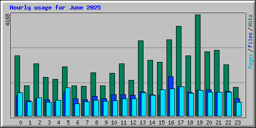 Hourly usage for June 2025