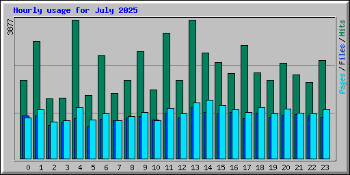 Hourly usage for July 2025