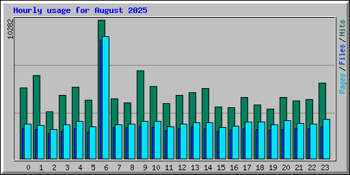 Hourly usage for August 2025