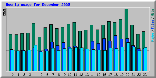 Hourly usage for December 2025