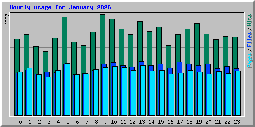 Hourly usage for January 2026