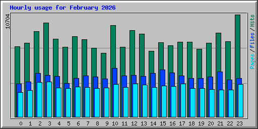 Hourly usage for February 2026