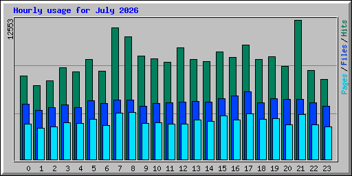 Hourly usage for July 2026