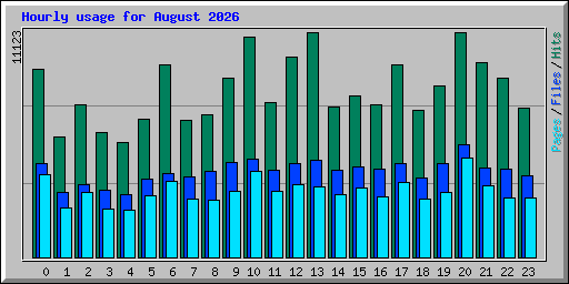 Hourly usage for August 2026